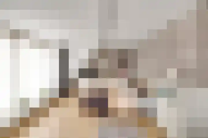 Da Costastraat 6 Schiedam thumbnail 35