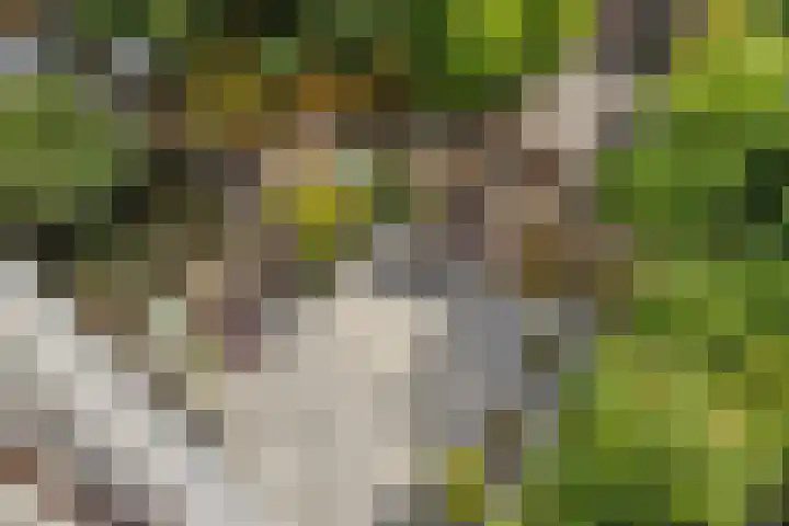 Da Costastraat 6 Schiedam thumbnail 44