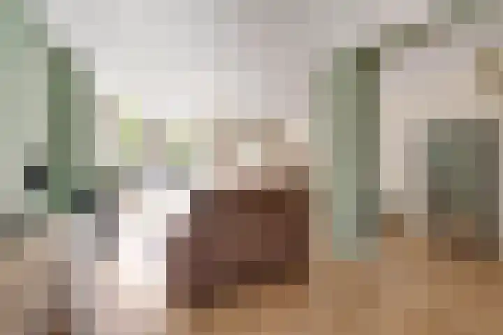 Da Costastraat 6 Schiedam thumbnail 9