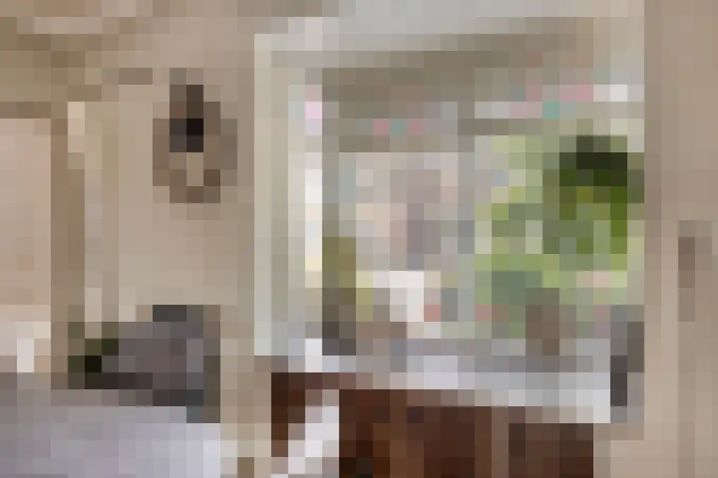 Da Costastraat 6 Veenendaal thumbnail 10