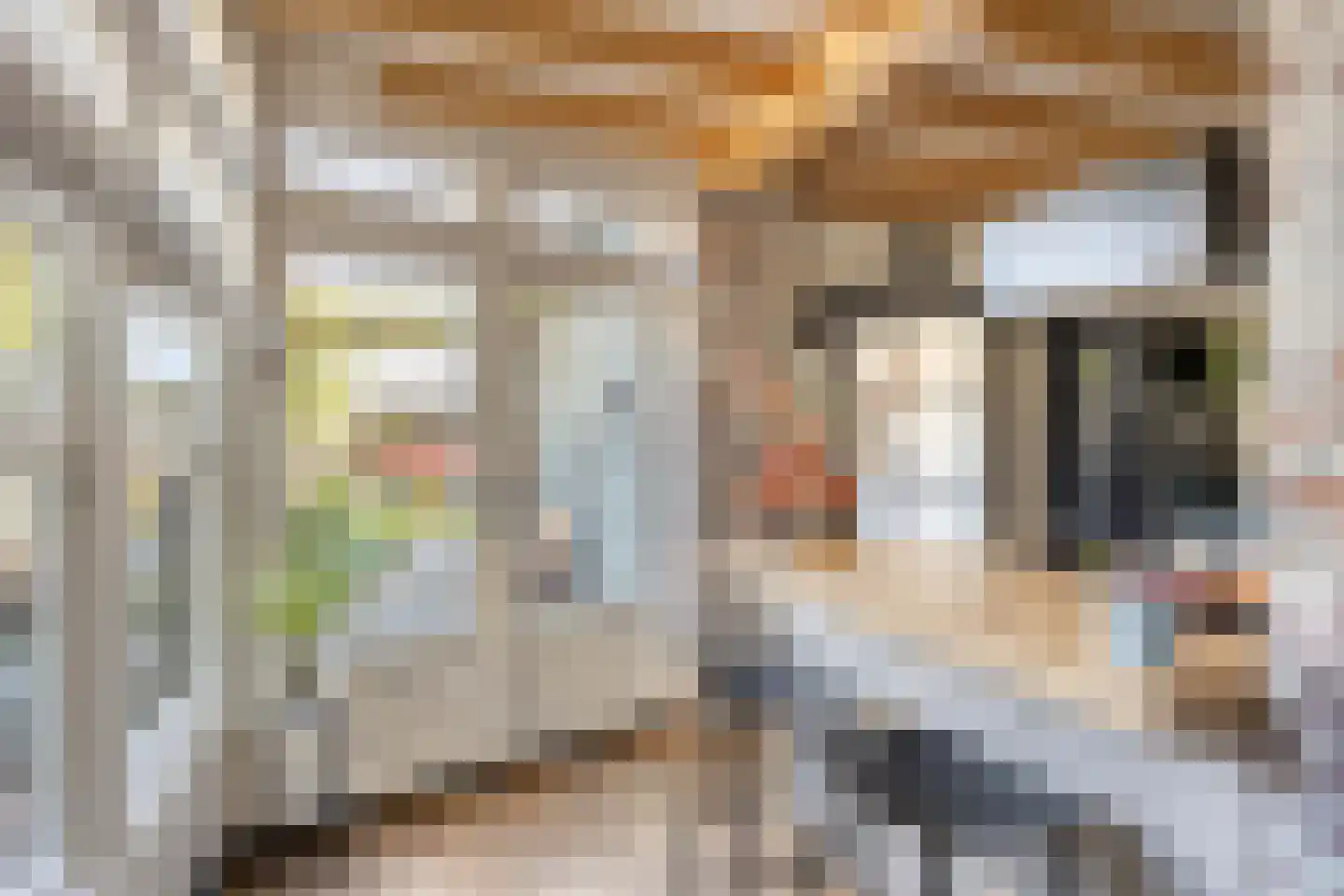 Da Costastraat 6 Veenendaal thumbnail 13