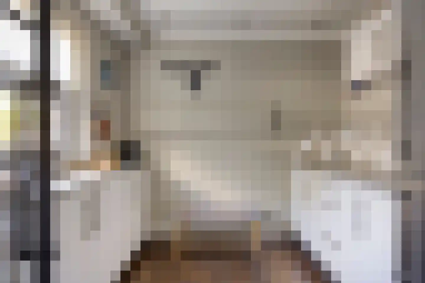 Da Costastraat 6 Veenendaal thumbnail 16