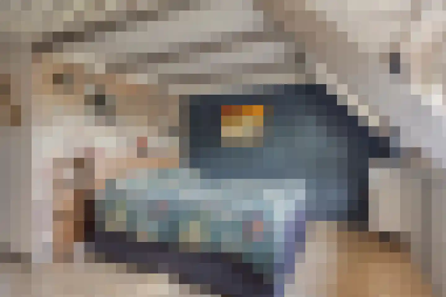 Da Costastraat 6 Veenendaal thumbnail 17
