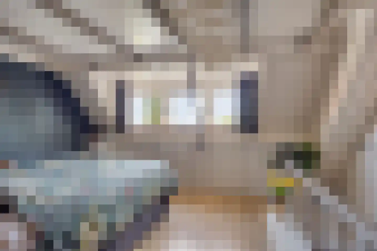 Da Costastraat 6 Veenendaal thumbnail 19