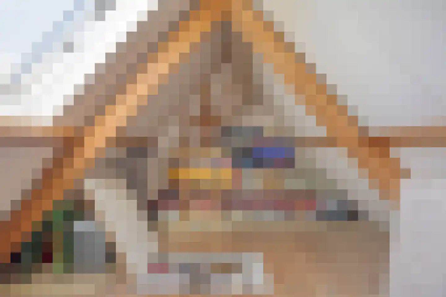 Da Costastraat 6 Veenendaal thumbnail 26