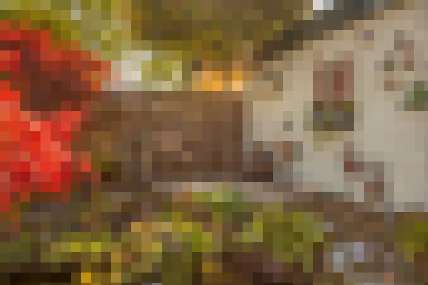 Da Costastraat 6 Veenendaal thumbnail 29
