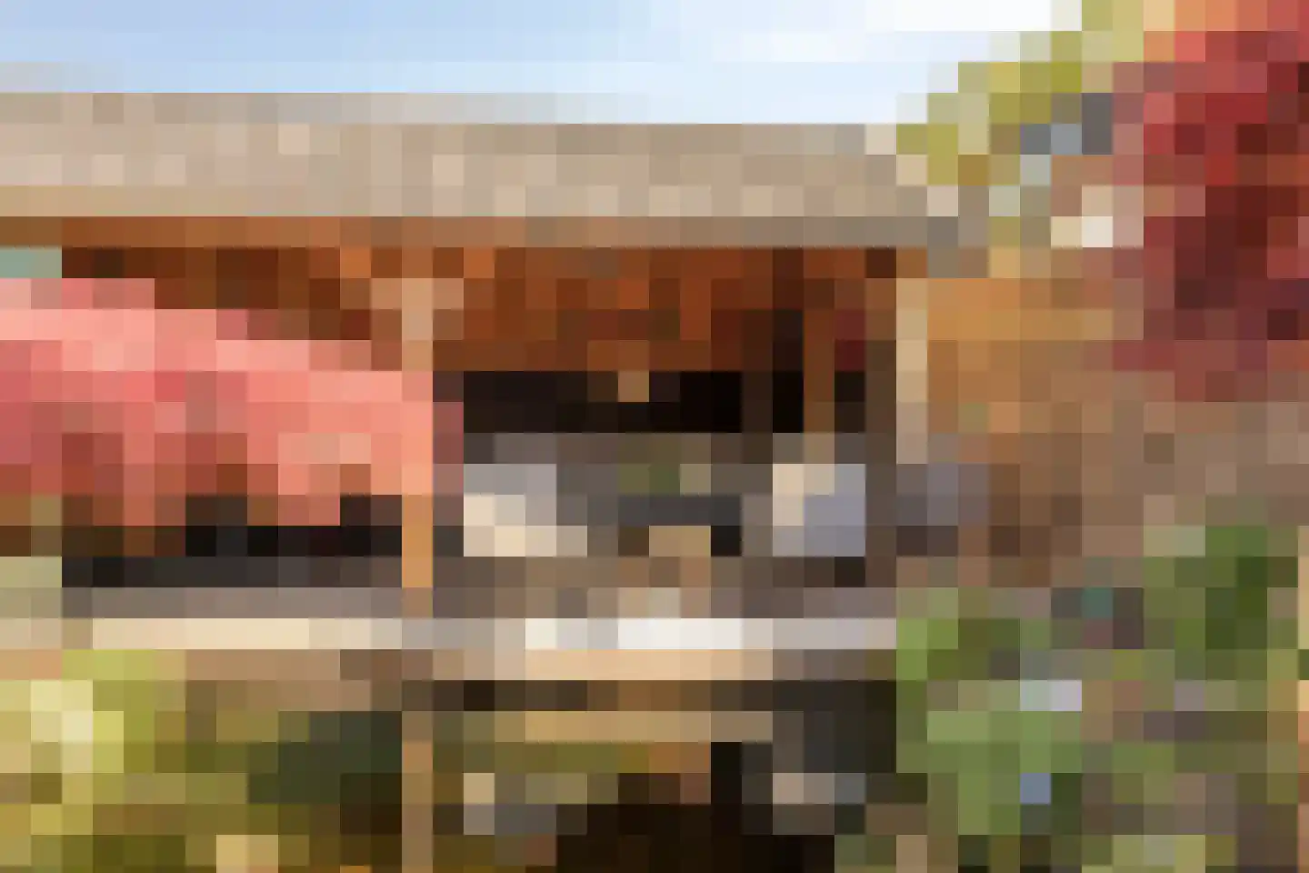 Da Costastraat 6 Veenendaal thumbnail 30