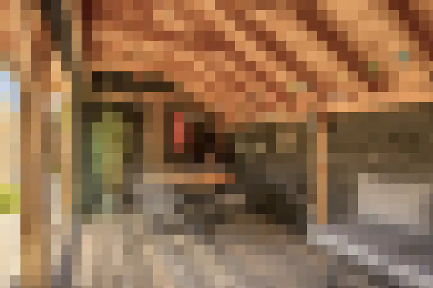Da Costastraat 6 Veenendaal thumbnail 32