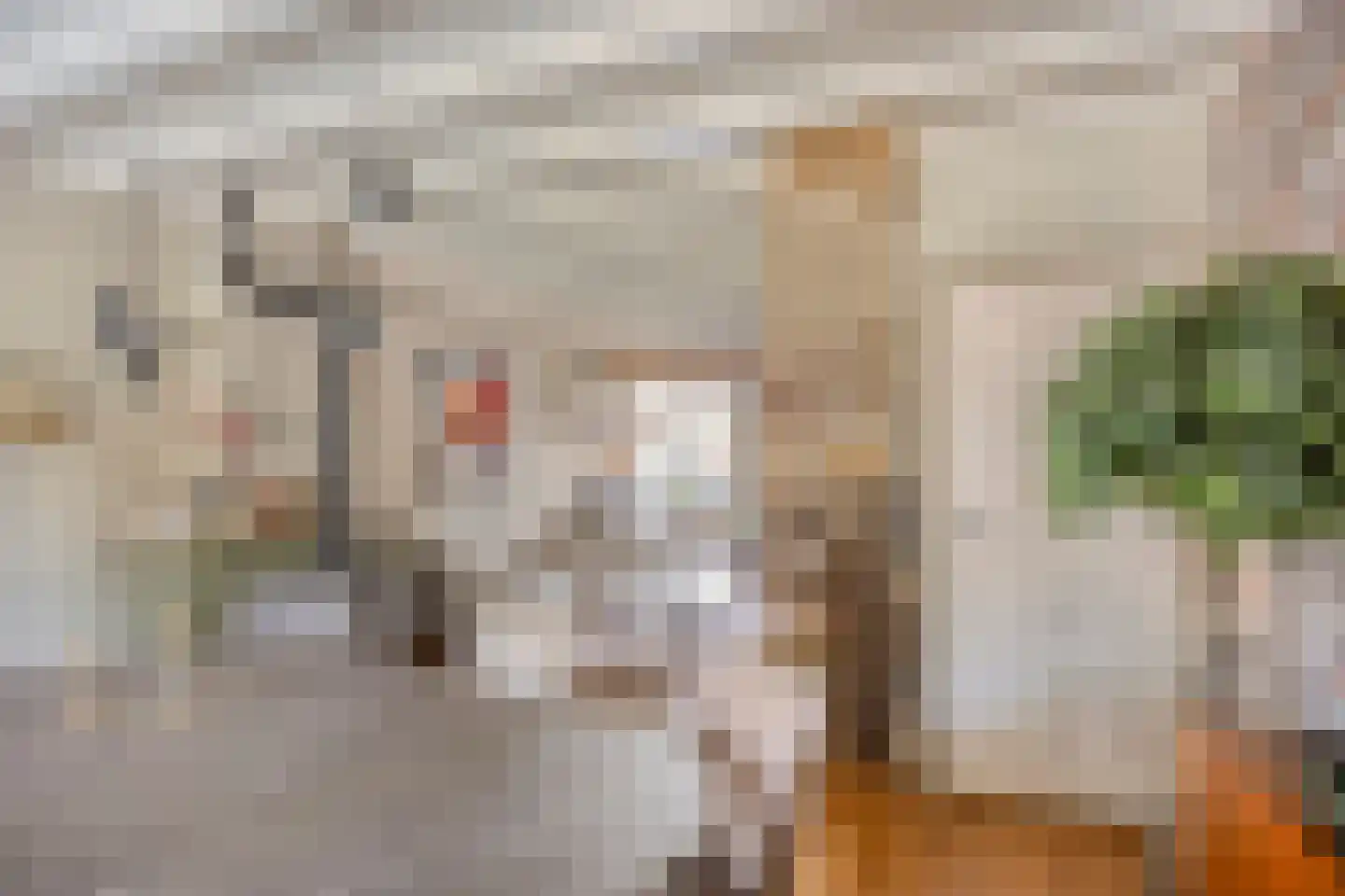 Da Costastraat 6 Veenendaal thumbnail 7