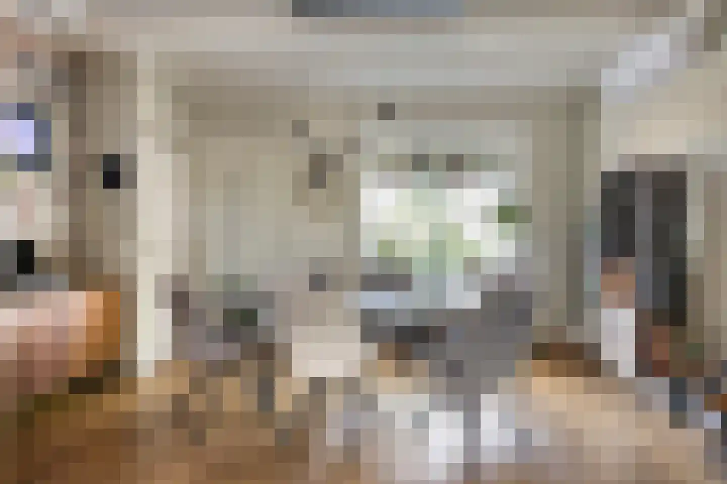 Da Costastraat 6 Veenendaal thumbnail 8
