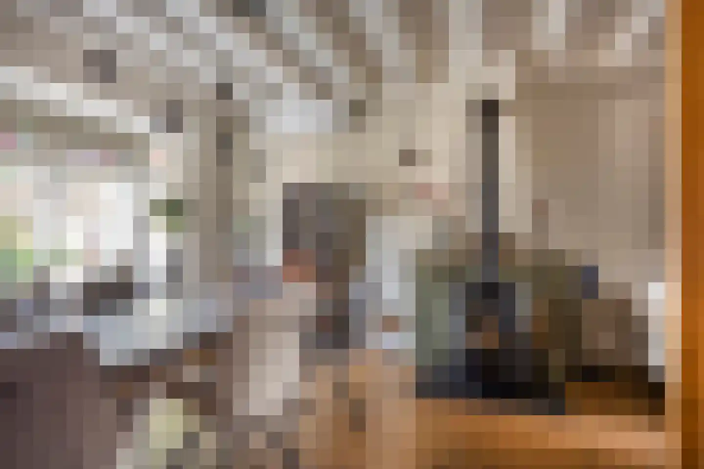Da Costastraat 6 Veenendaal thumbnail 9