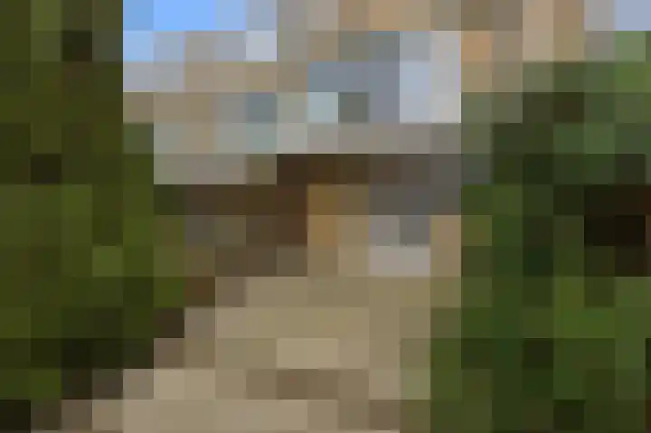 Da Costastraat 60 Alblasserdam thumbnail 37