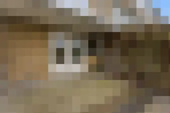 Da Costastraat 60 Alblasserdam thumbnail 38