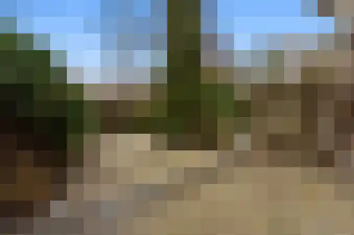 Da Costastraat 60 Alblasserdam thumbnail 40