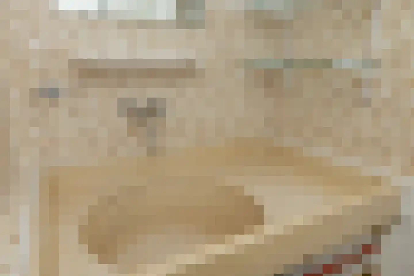 Da Costastraat 62 Hoogeveen thumbnail 33