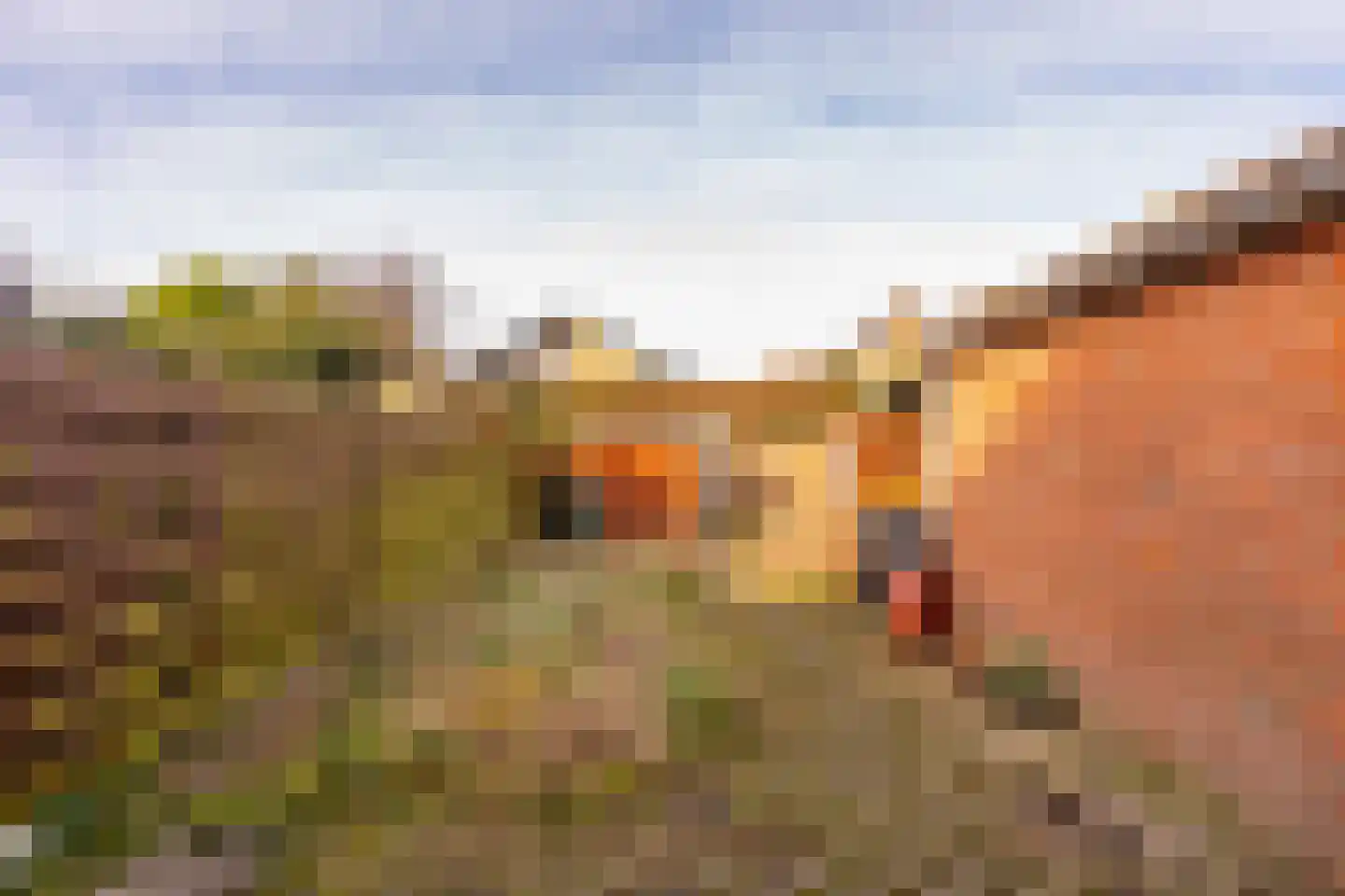 Da Costastraat 62 Hoogeveen thumbnail 36
