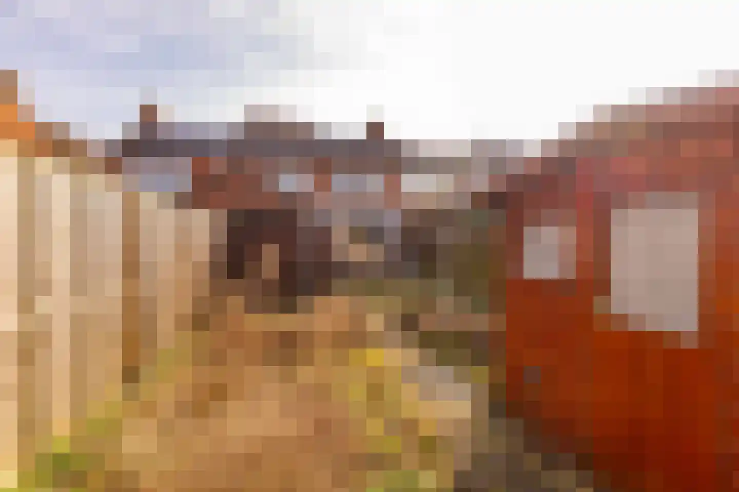 Da Costastraat 62 Hoogeveen thumbnail 39