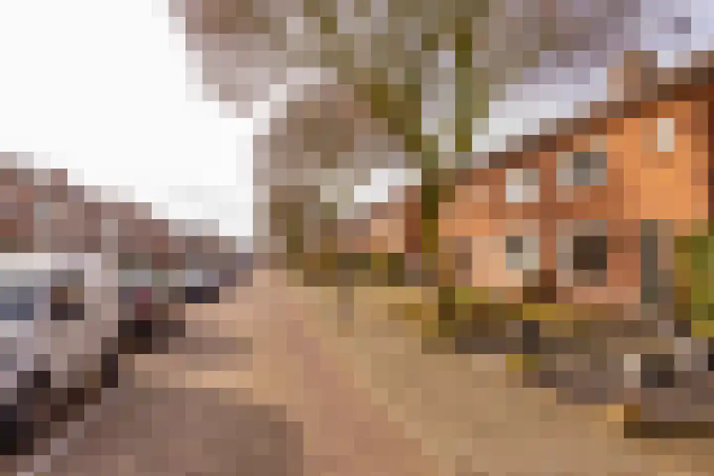 Da Costastraat 62 Hoogeveen thumbnail 48
