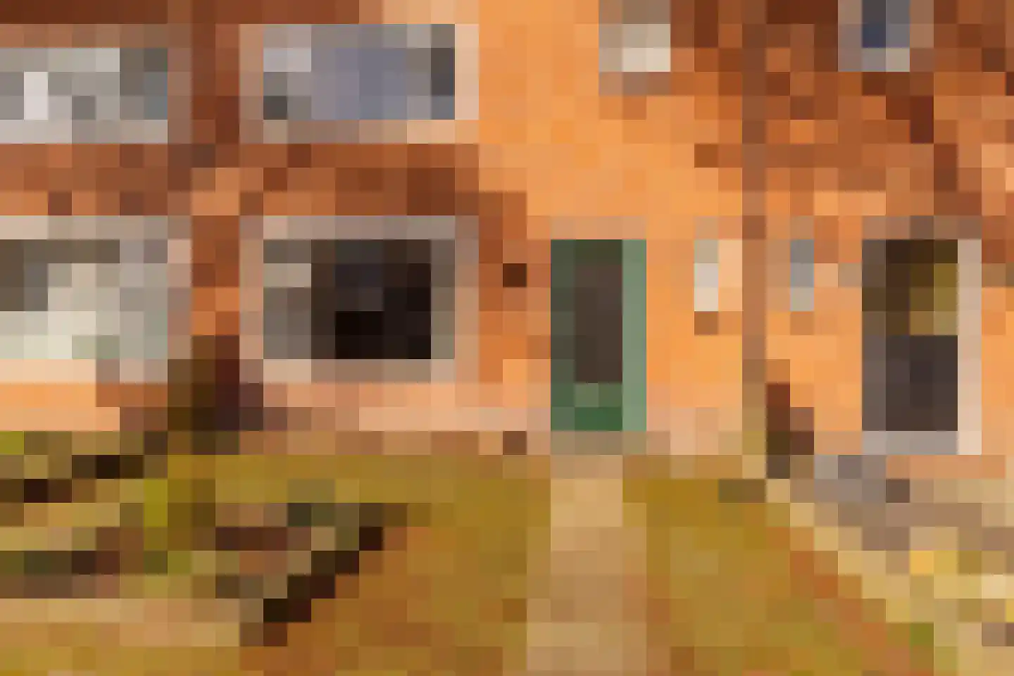 Da Costastraat 62 Hoogeveen thumbnail 5