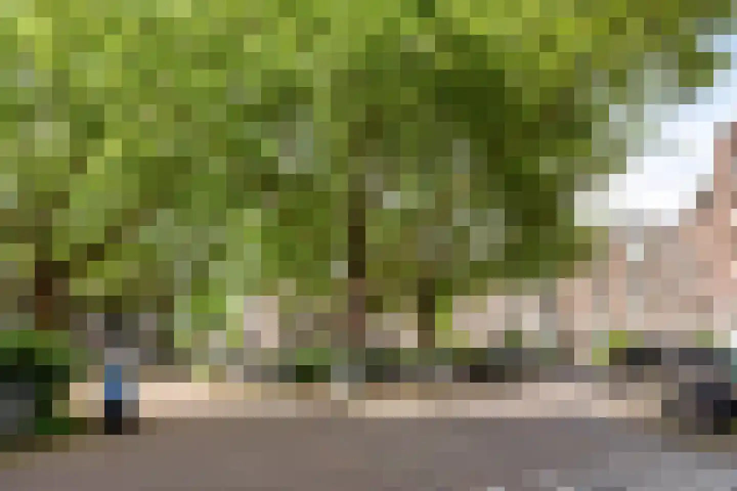Da Costastraat 63 1 Amsterdam thumbnail 16