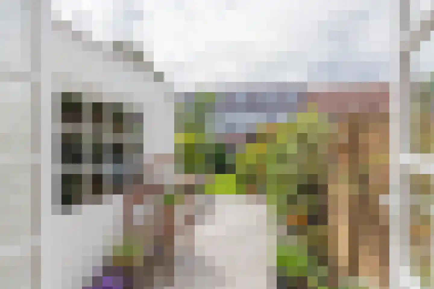 Da Costastraat 63 Haarlem thumbnail 16