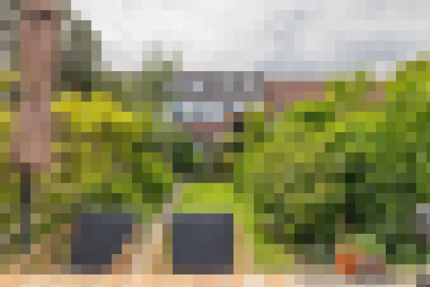 Da Costastraat 63 Haarlem thumbnail 17