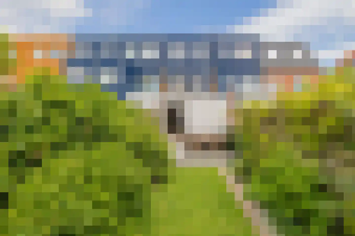 Da Costastraat 63 Haarlem thumbnail 18