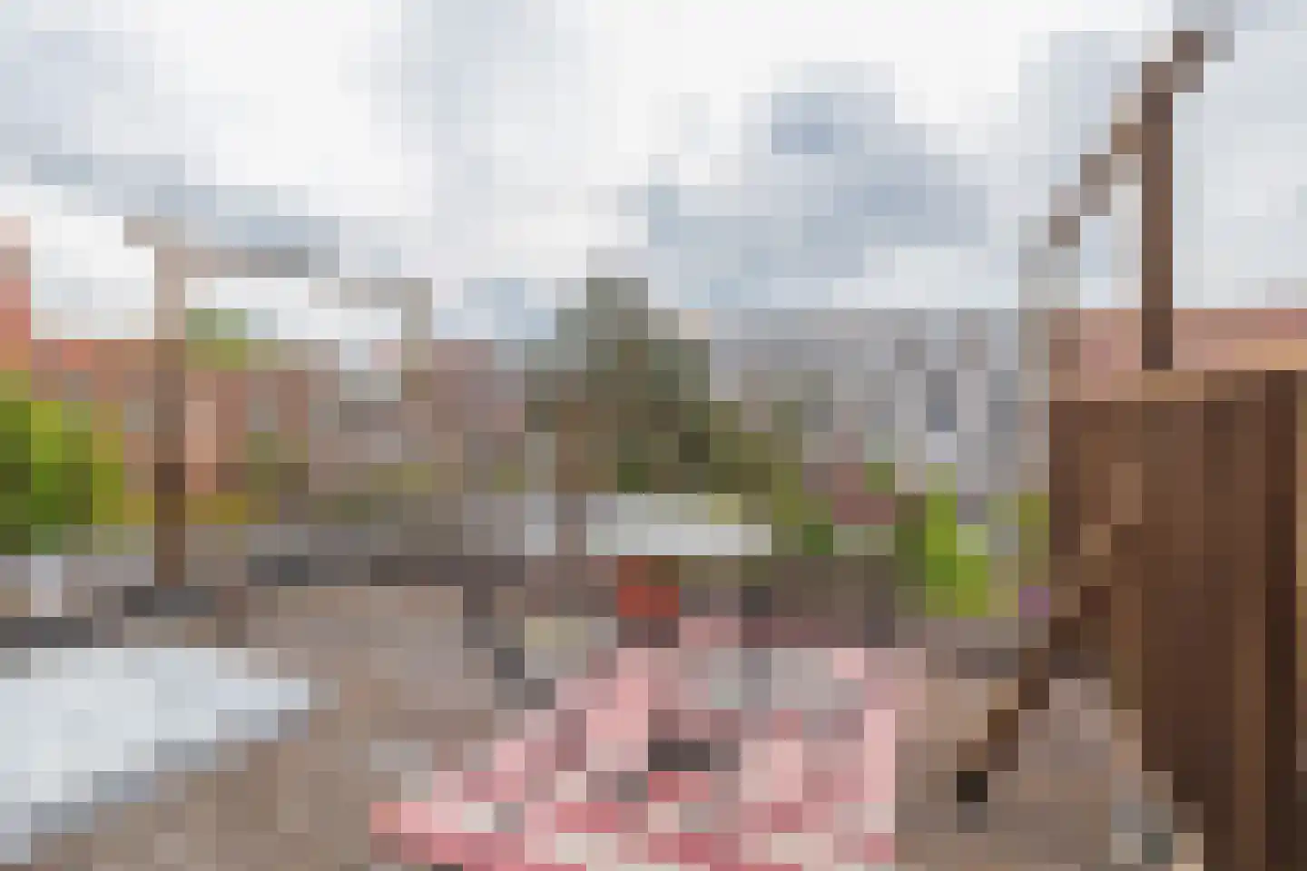 Da Costastraat 63 Haarlem thumbnail 5