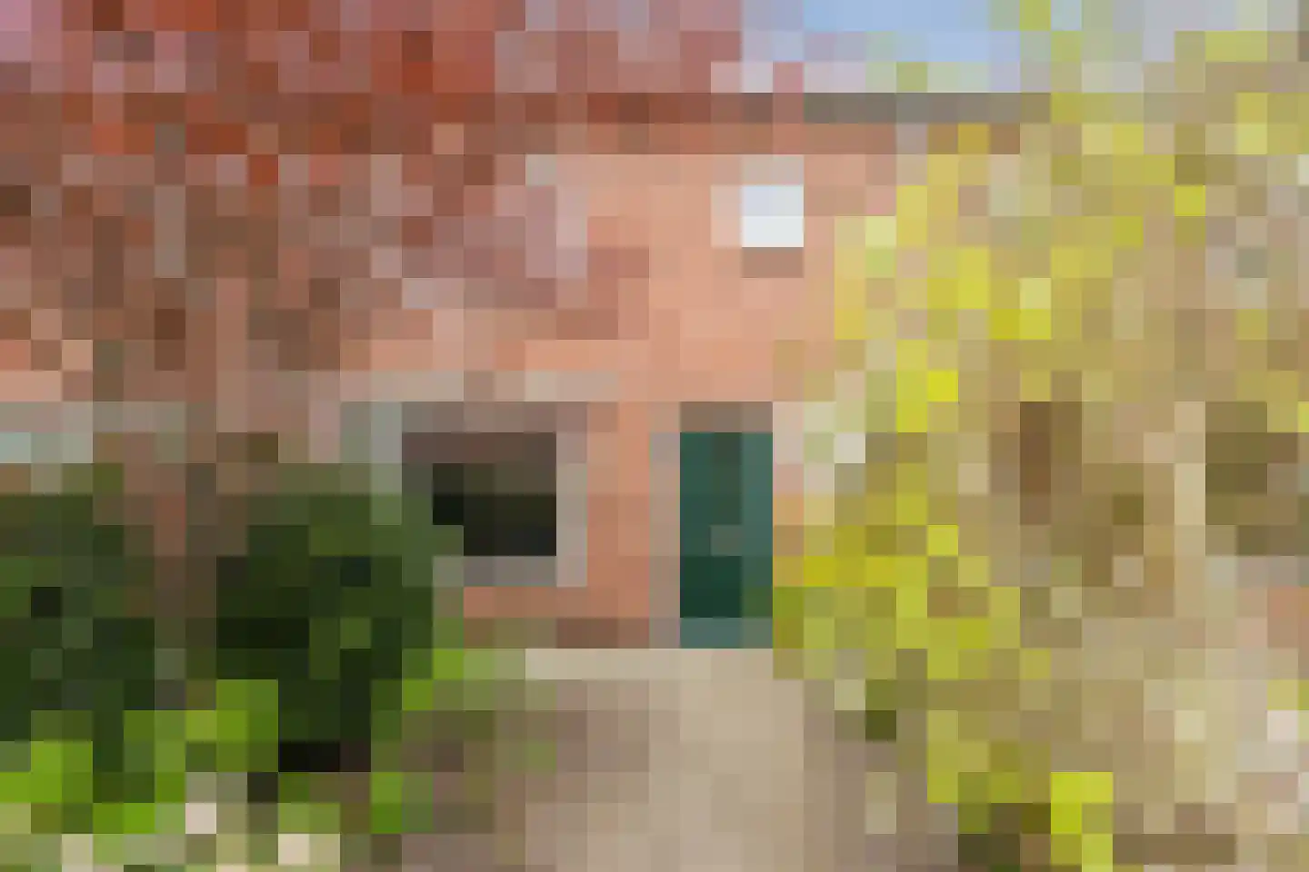 Da Costastraat 70 Hoogeveen thumbnail 7