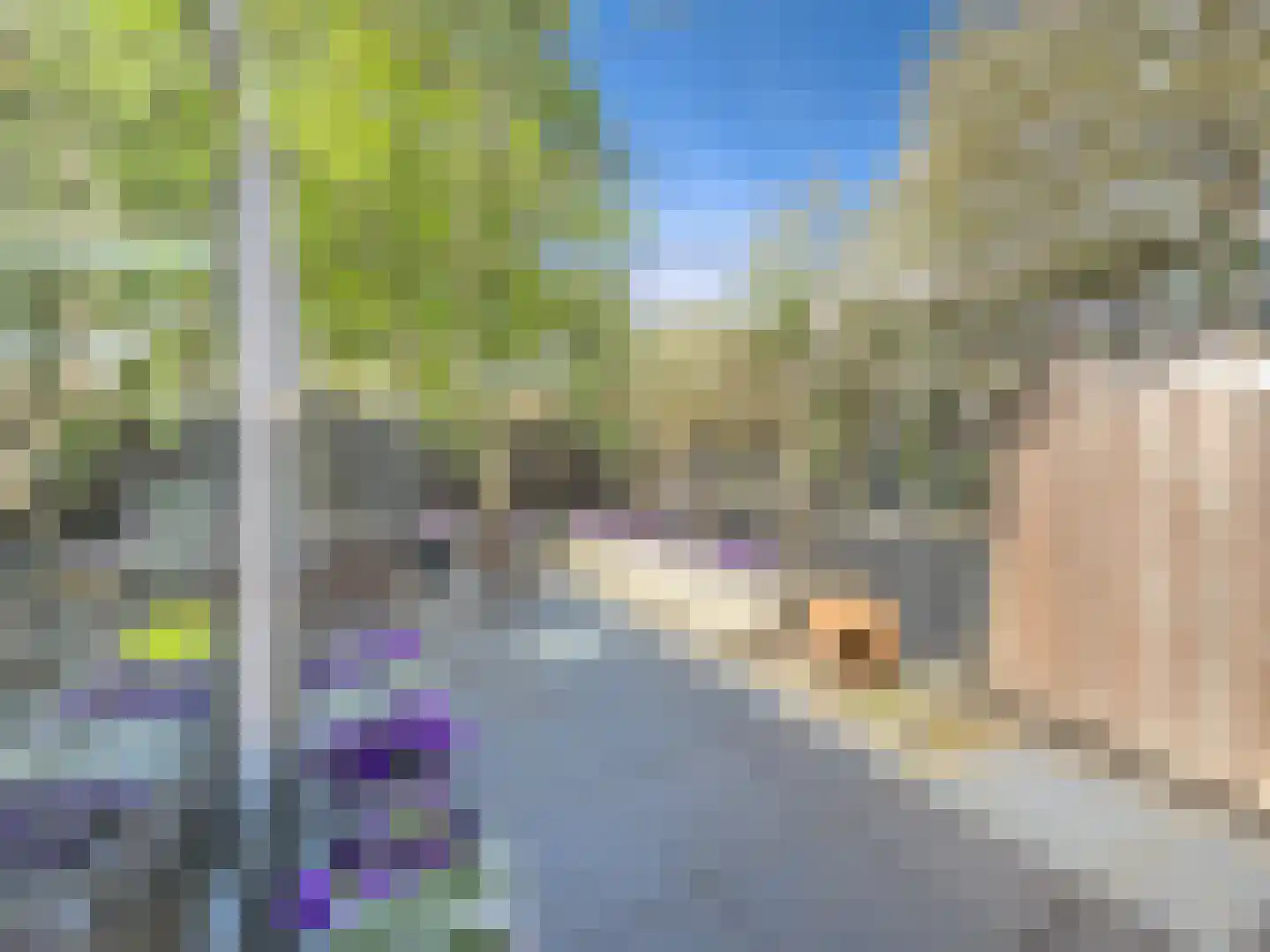Da Costastraat 72 Alblasserdam thumbnail 19