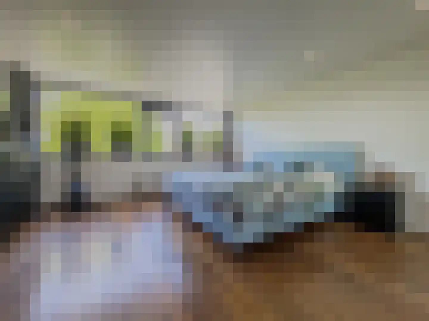 Da Costastraat 72 Alblasserdam thumbnail 23