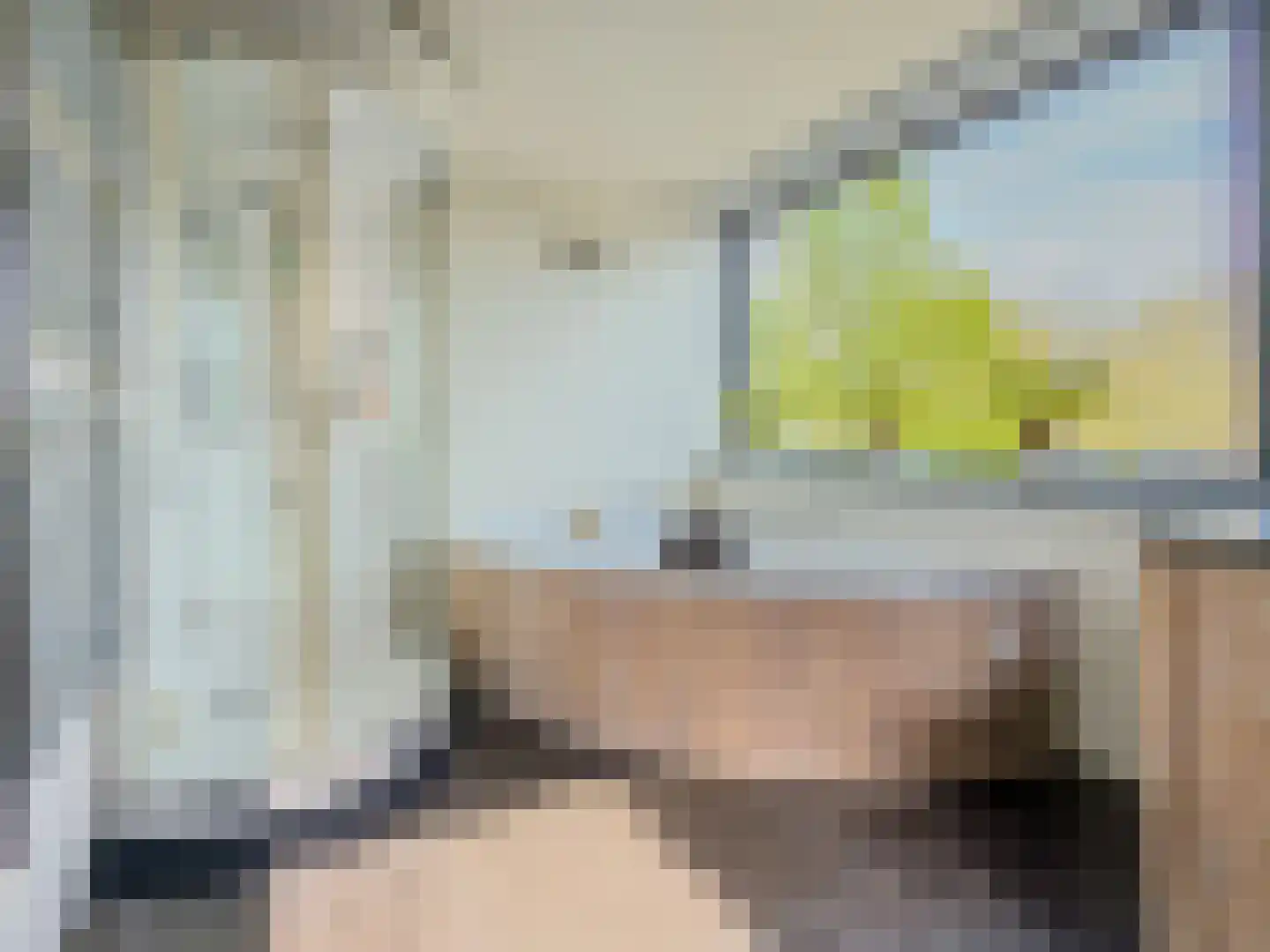 Da Costastraat 72 Alblasserdam thumbnail 25
