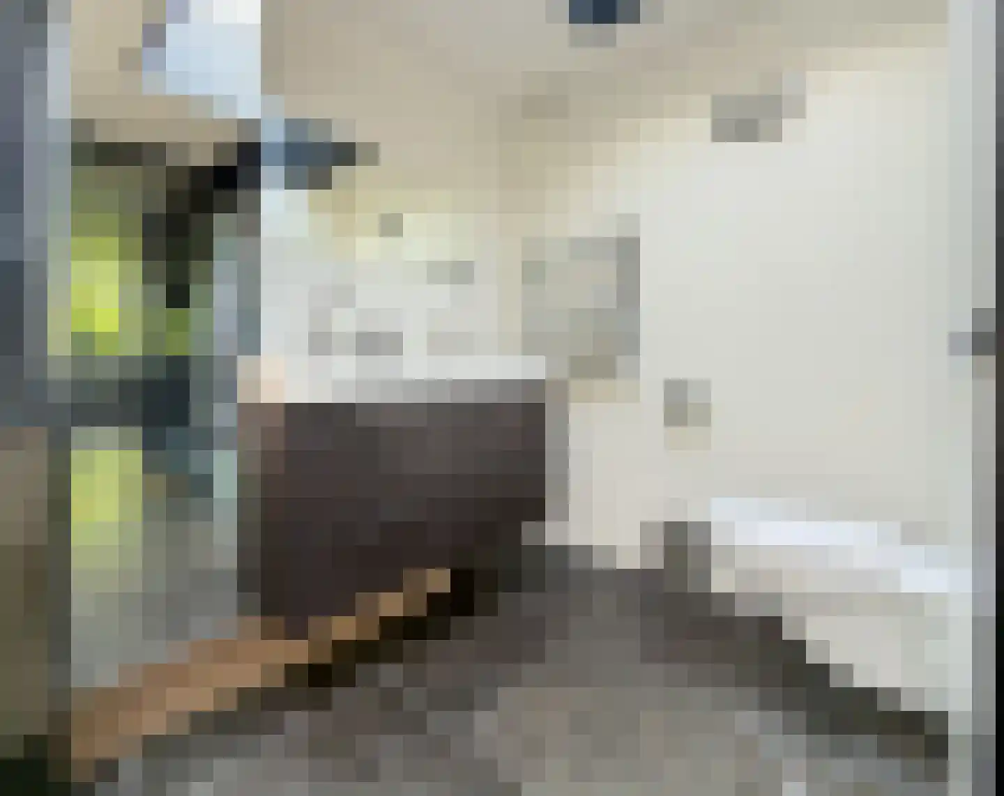 Da Costastraat 72 Alblasserdam thumbnail 27