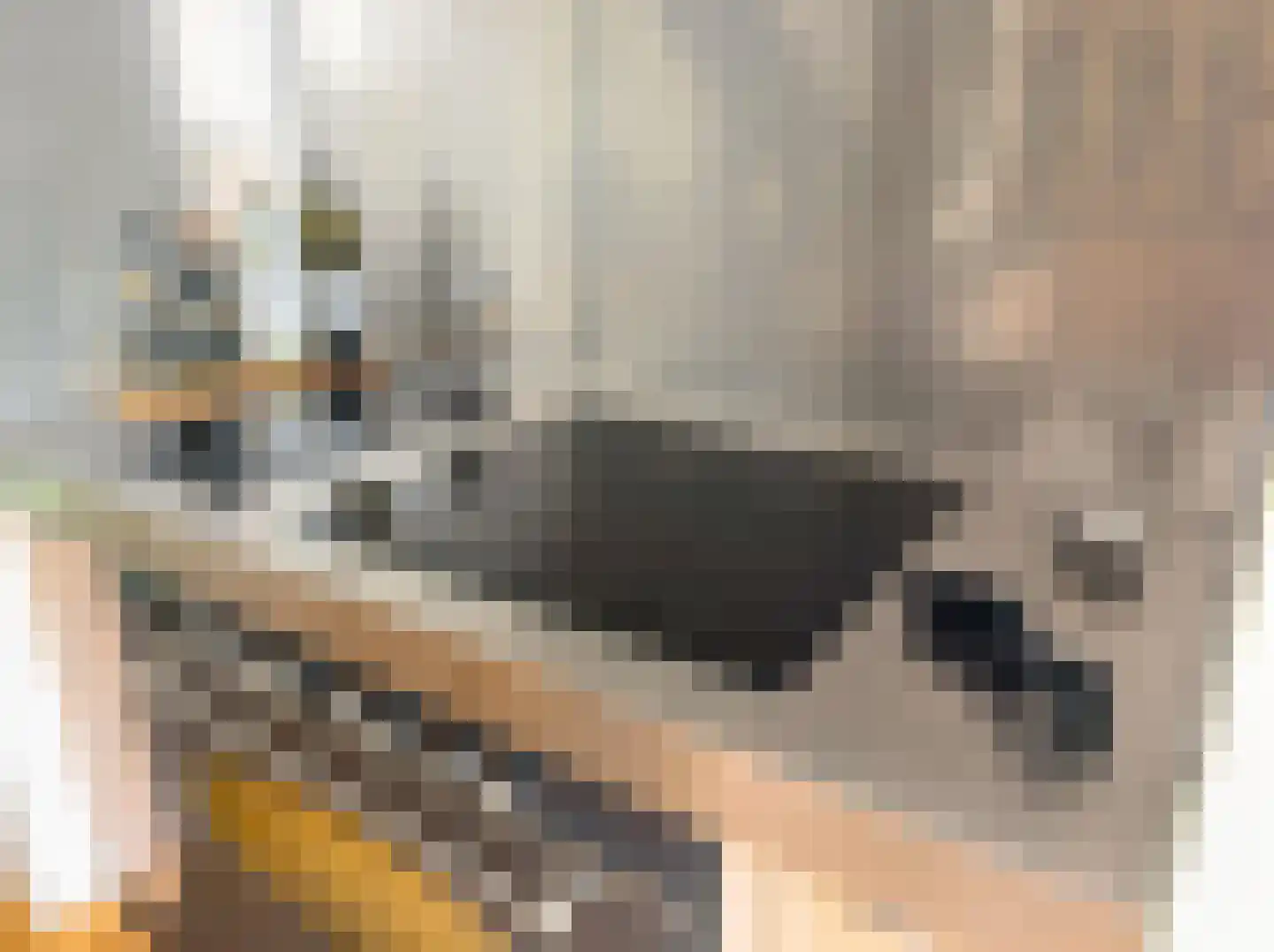 Da Costastraat 72 Alblasserdam thumbnail 9