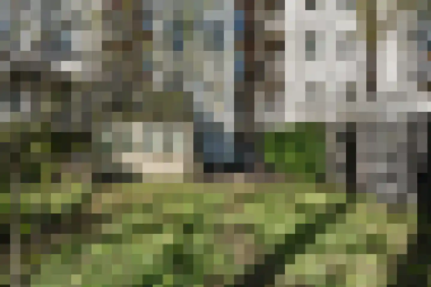 Da Costastraat 75 2 Amsterdam thumbnail 6
