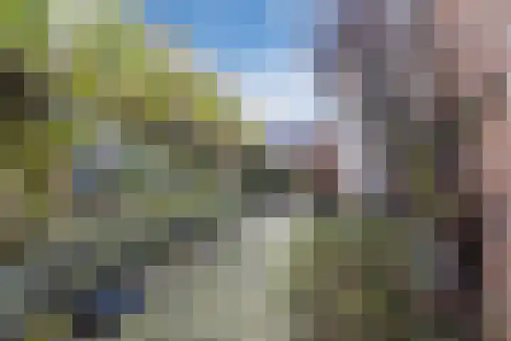Da Costastraat 78 Hoogeveen thumbnail 34