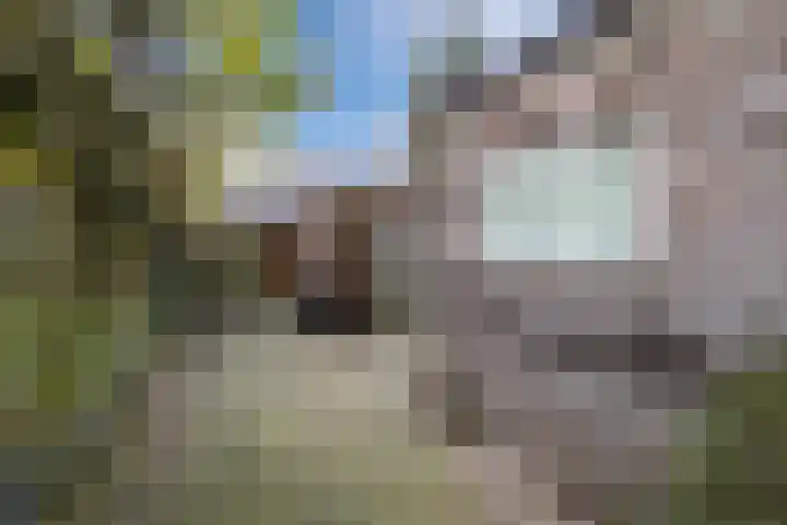 Da Costastraat 78 Hoogeveen thumbnail 35