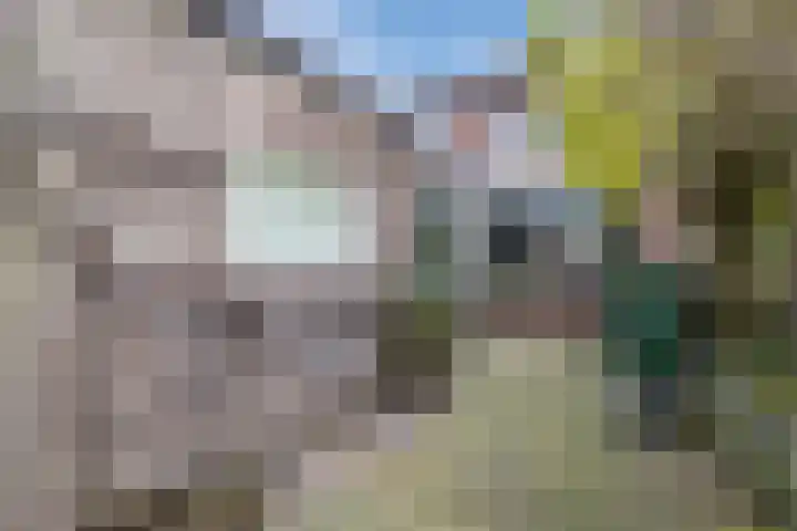 Da Costastraat 78 Hoogeveen thumbnail 5