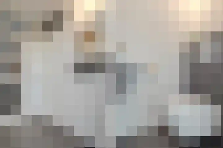 Da Costastraat 8 Oosterhout thumbnail 14