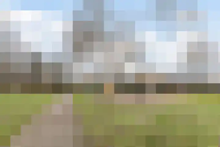 Da Costastraat 8 Oosterhout thumbnail 39