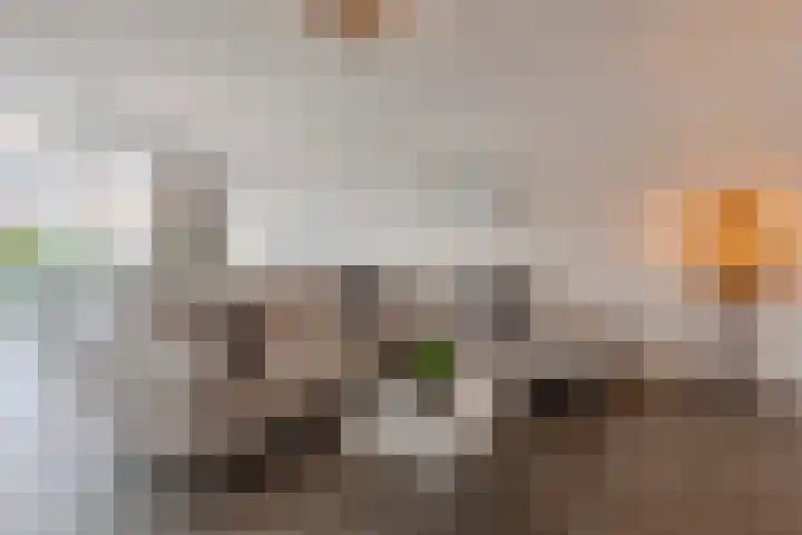 Da Costastraat 8 Oosterhout thumbnail 4