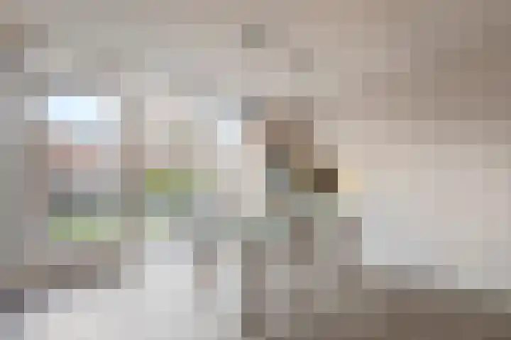 Da Costastraat 8 Oosterhout thumbnail 8