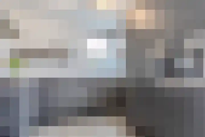 Da Costastraat 8 Oosterhout thumbnail 9