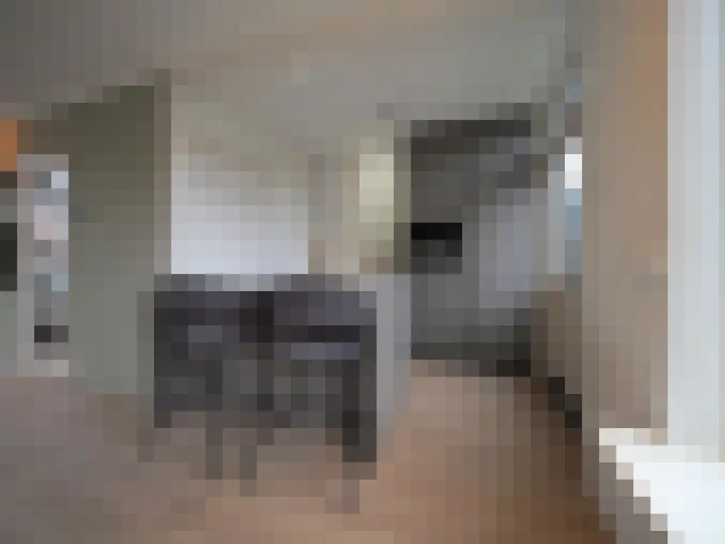 Da Costastraat 8 Papendrecht thumbnail 17