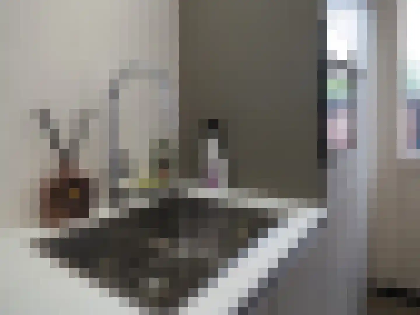 Da Costastraat 8 Papendrecht thumbnail 21