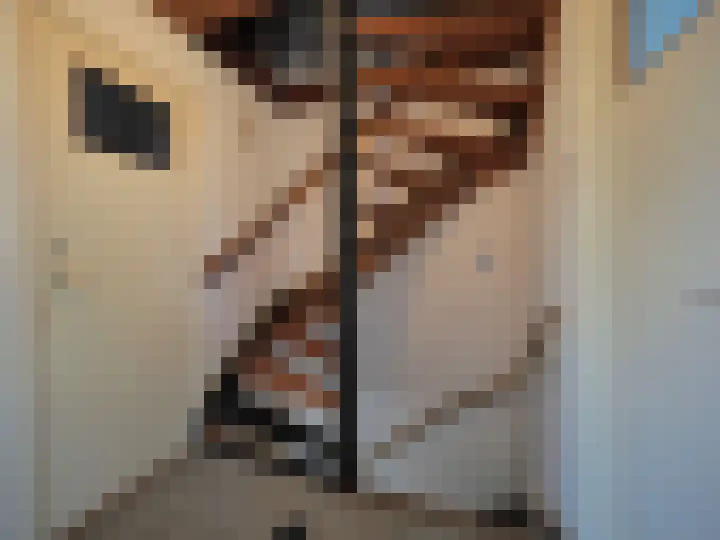 Da Costastraat 8 Papendrecht thumbnail 23