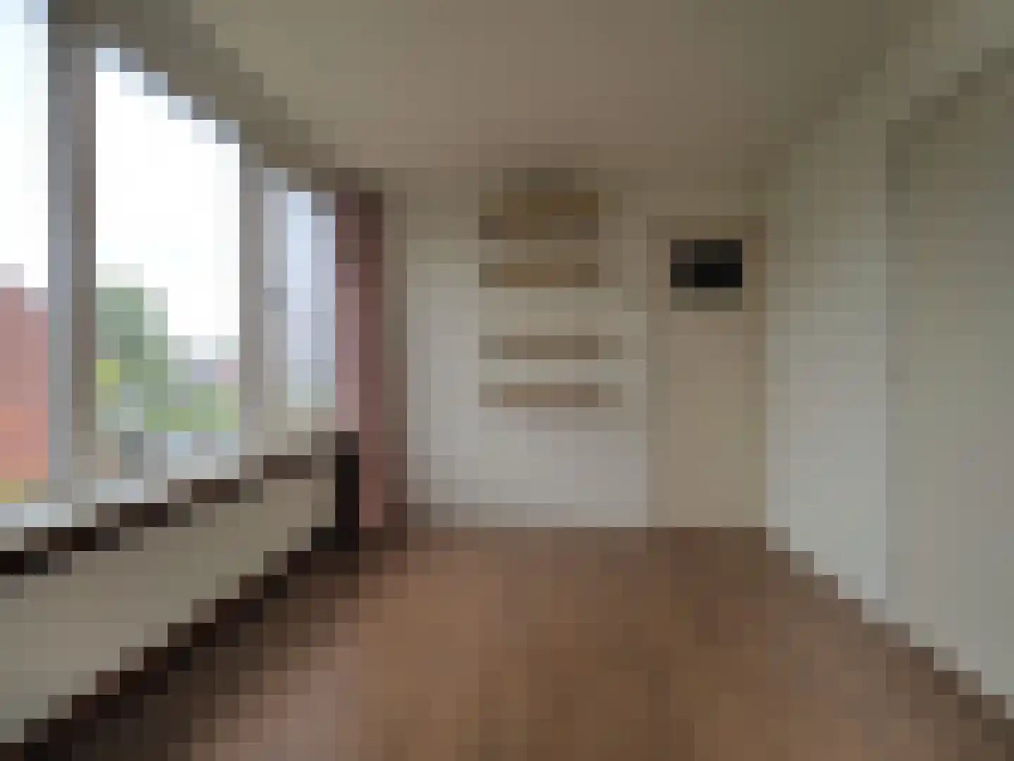 Da Costastraat 8 Papendrecht thumbnail 27