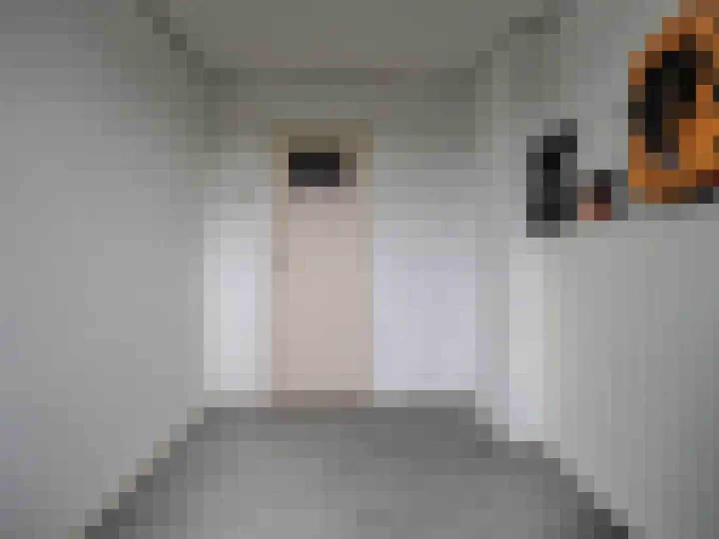 Da Costastraat 8 Papendrecht thumbnail 29
