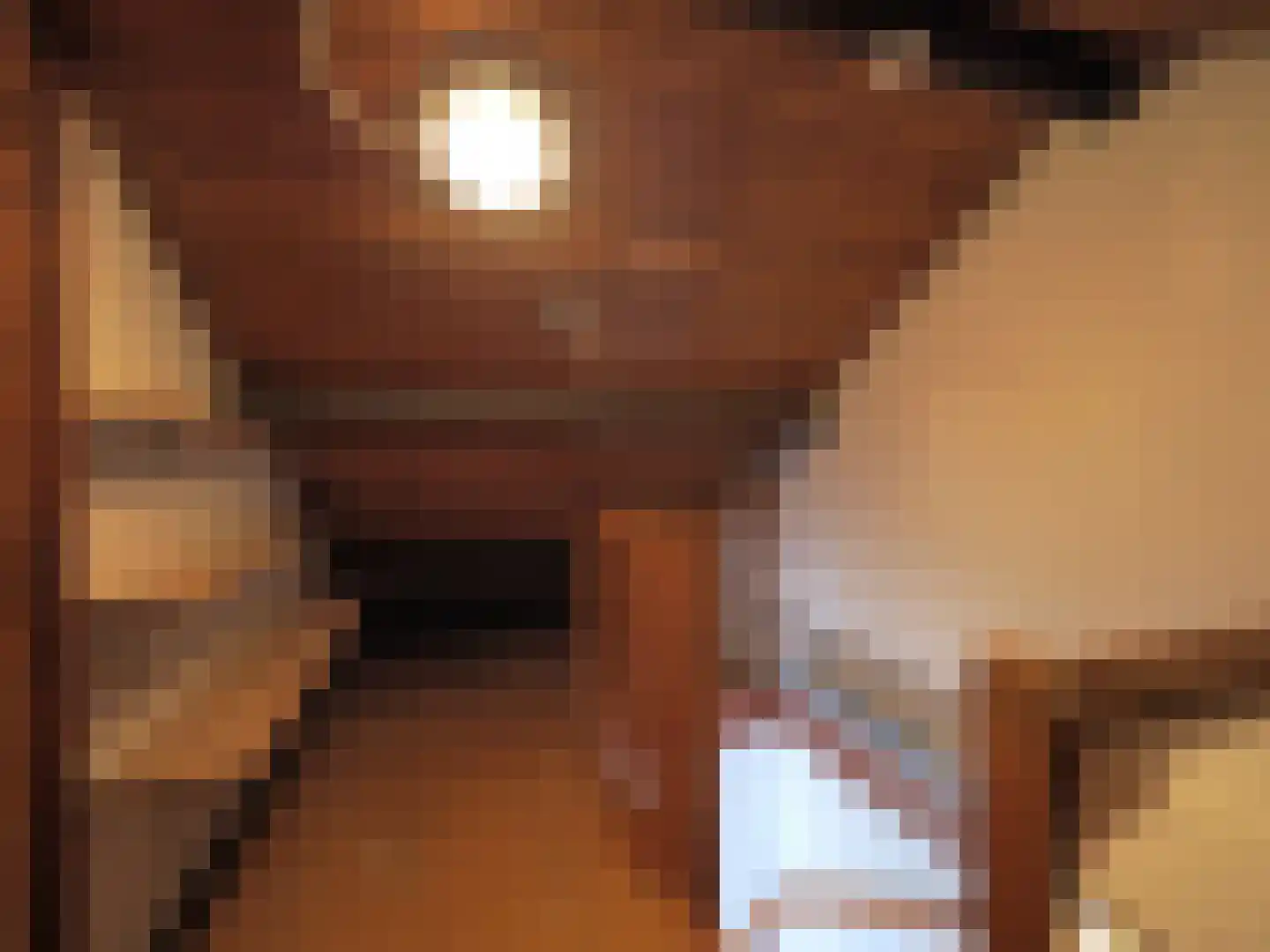 Da Costastraat 8 Papendrecht thumbnail 33