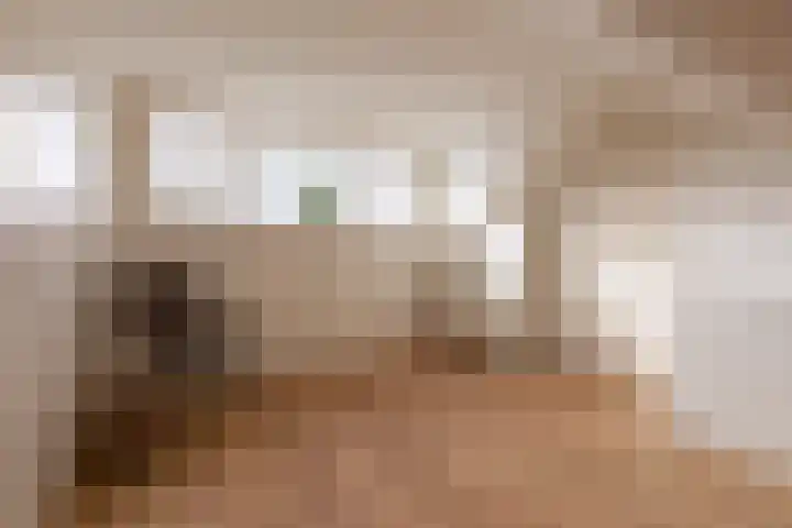 Da Costastraat 86 Putten thumbnail 33